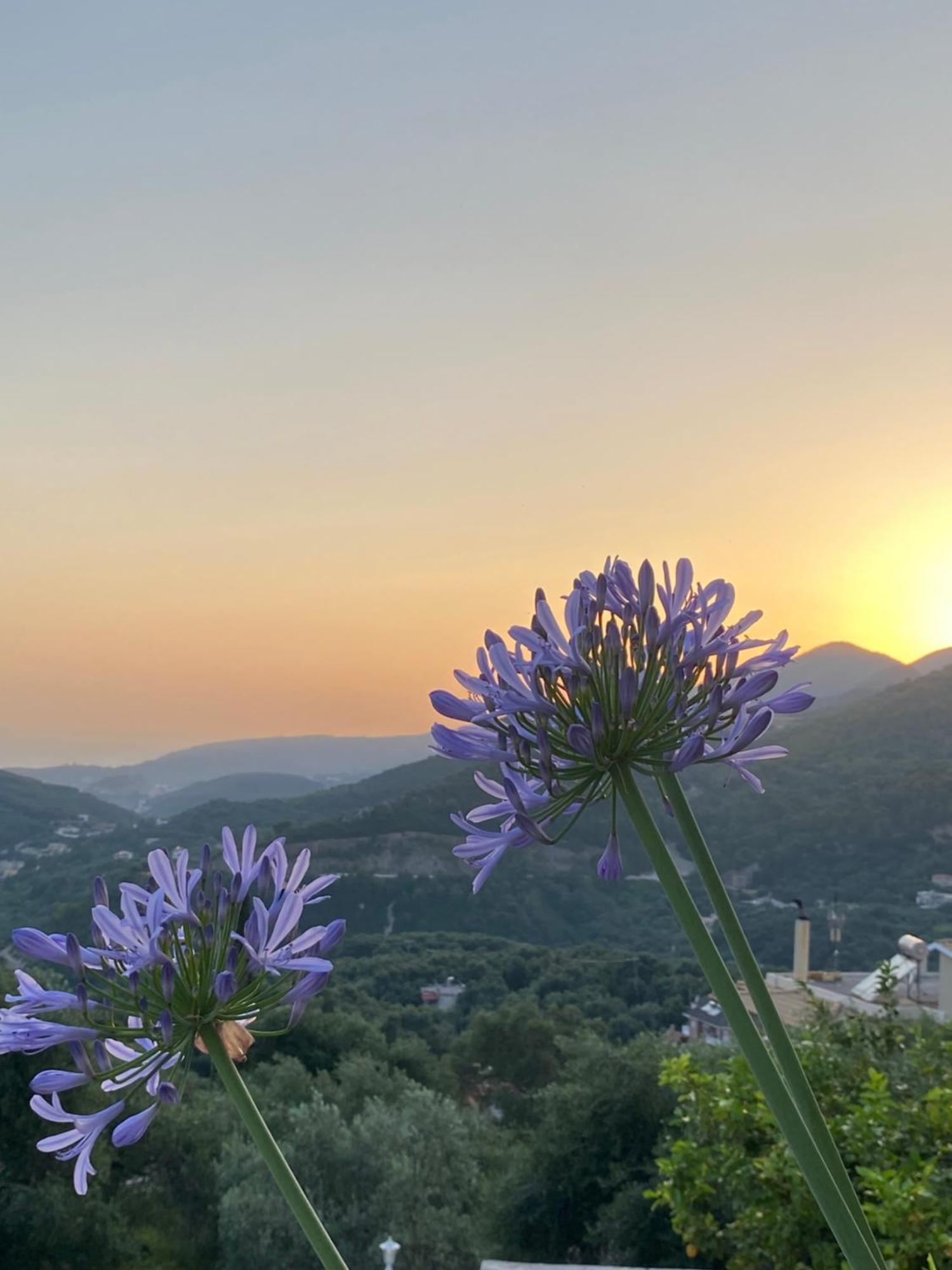Vito'S Parga View Apartments المظهر الخارجي الصورة